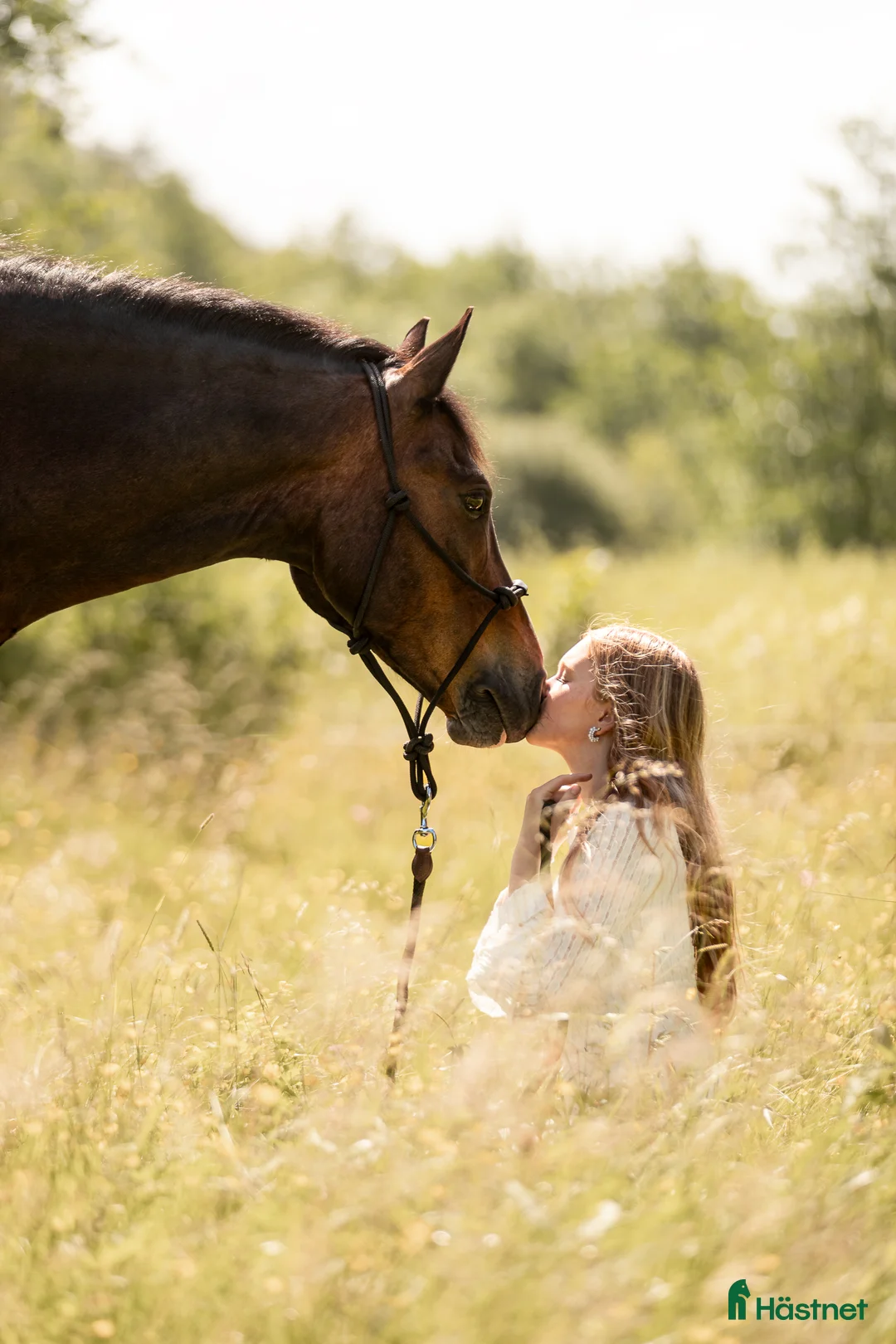Allround hästar till salu: Charmig C-ponny söker sin nya familj i Hålta - Annons 1