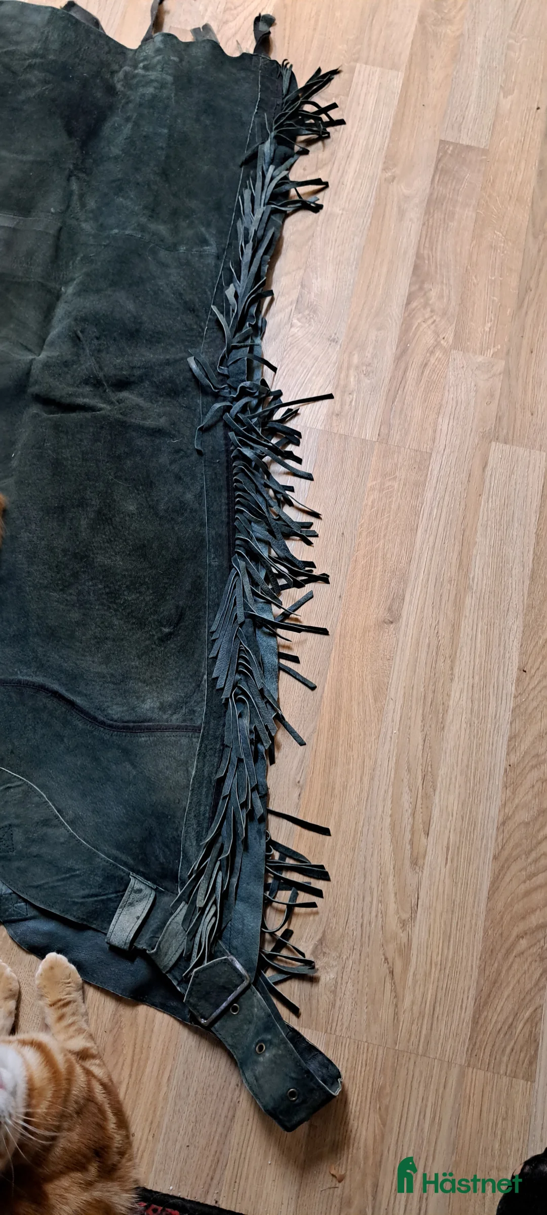 Övrig Ryttarutrustning ryttarutrustning till salu: Hel chaps med fransar i Sjöbo - Annons 2