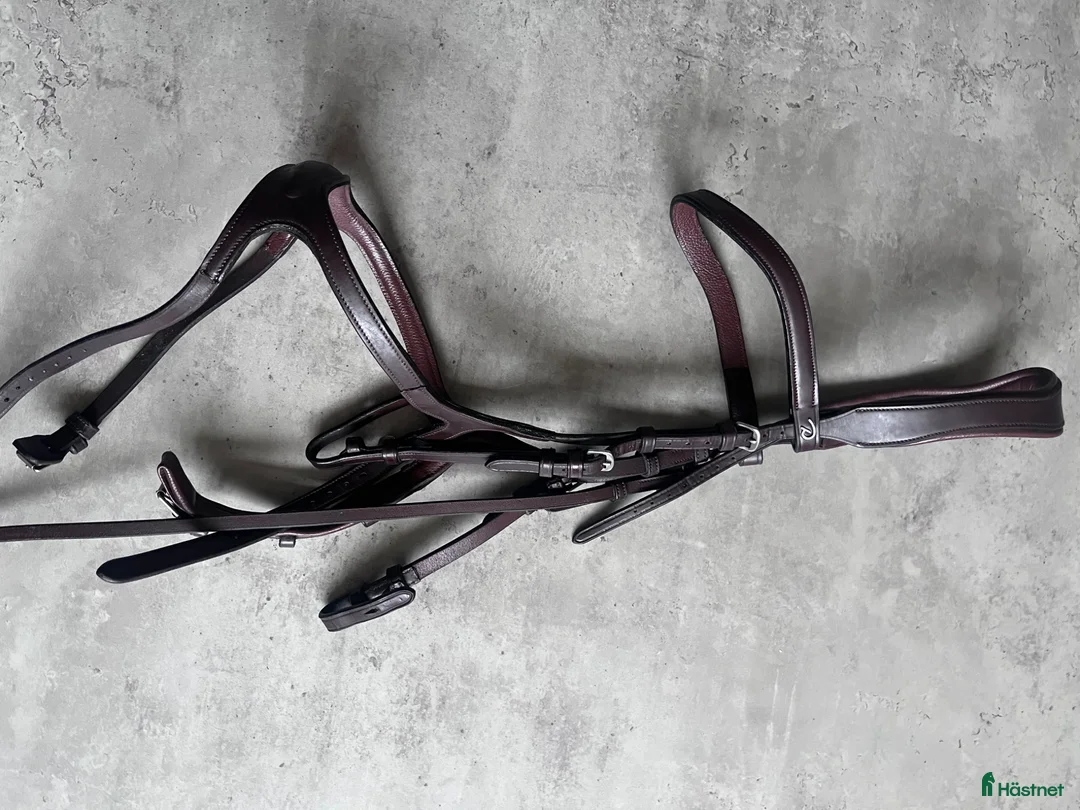 Träns hästutrustning till salu: Dyon Anatomic träns - Annons 1