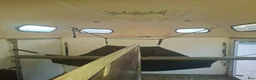 Hästtransporter  fordon & transport till salu: Boj bravo 216S - Annons 6