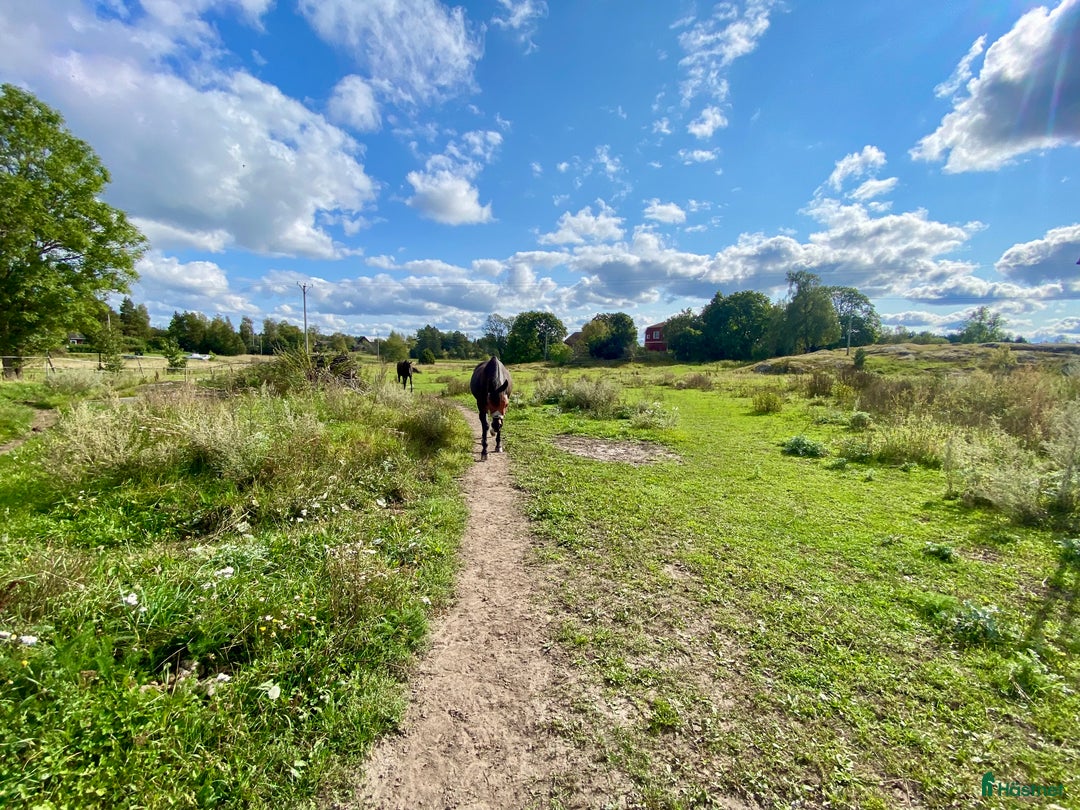  stallplats finnes: Stallplats Almunge 🌟 i Knutby - Annons 3