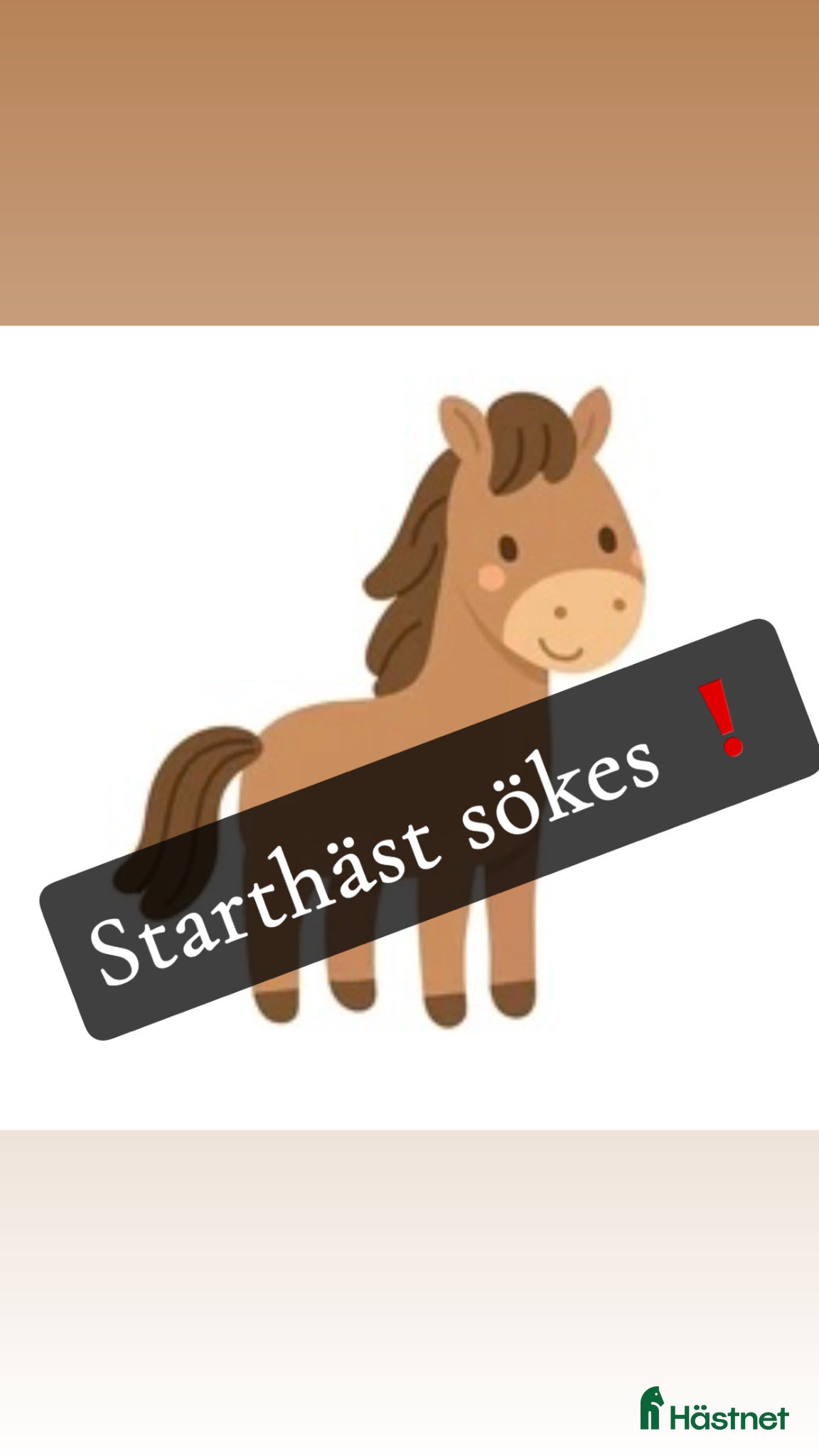  hästar Starthäst sökes  - Annons 1