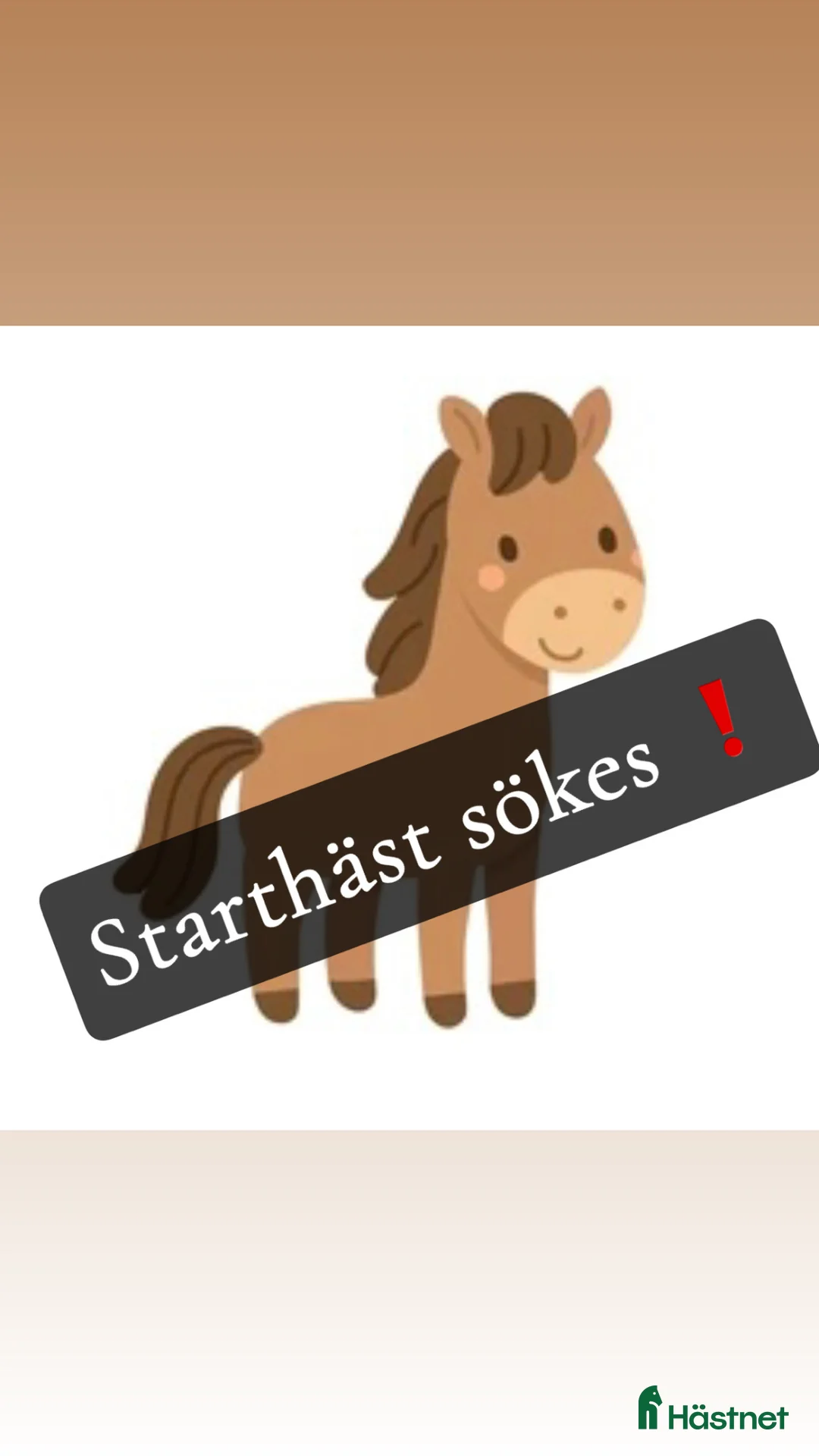 Trav hästar sökes: Starthäst sökes  i Sundsvall - Annons 1