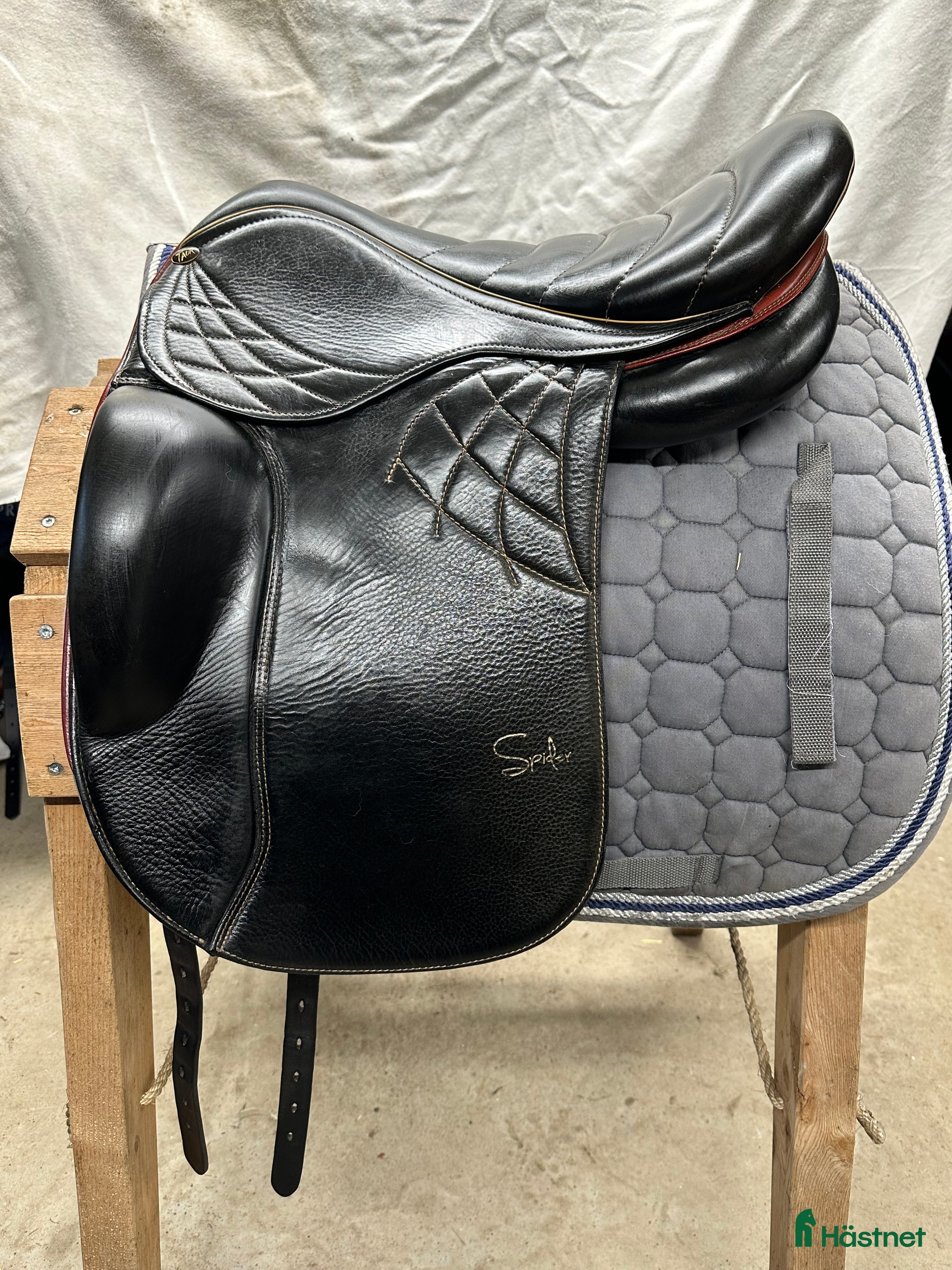 Sadlar hästutrustning Fin Taur spider i Sala - Annons 22