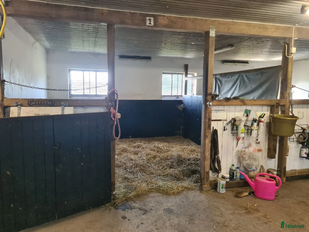  stallplats finnes: En eller ev två stallplatser till sto - Annons 2
