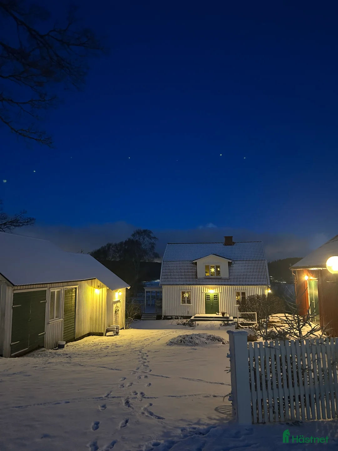  foderhäst sökes: Hoppglad ponny sökes, senare köp - Annons 6