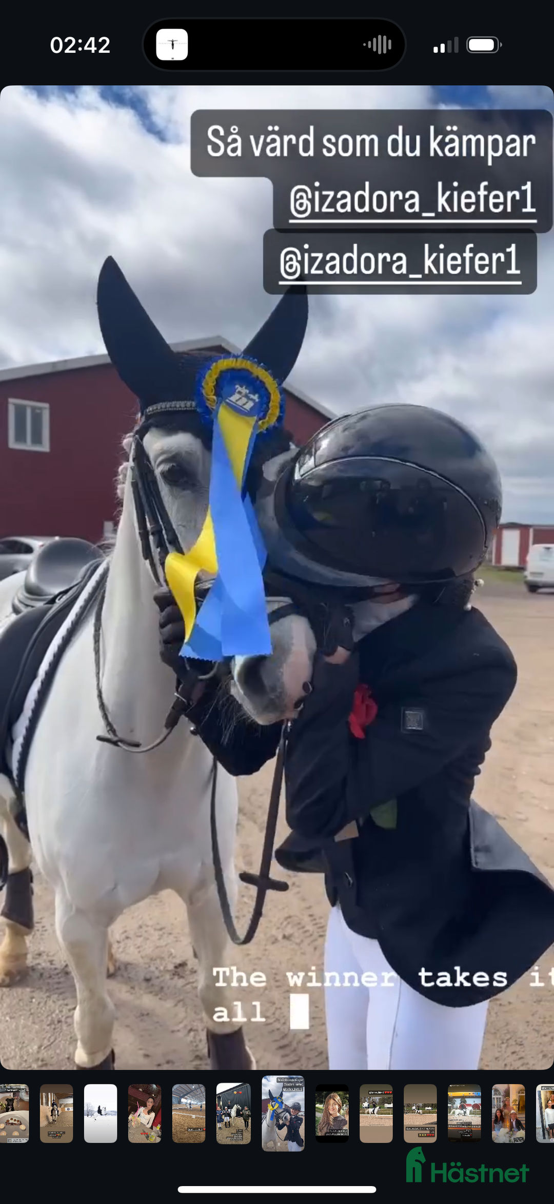 Dressyr hästar till salu: Drömponny för den lilla ryttaren i Norrköping - Annons 7