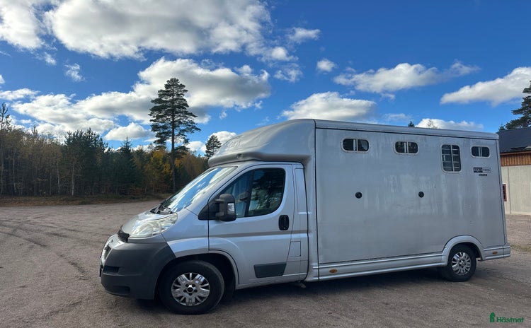Hästlastbilar  fordon & transport till salu: B-kortsbil med lågt miltal  i Skövde - Annons 15