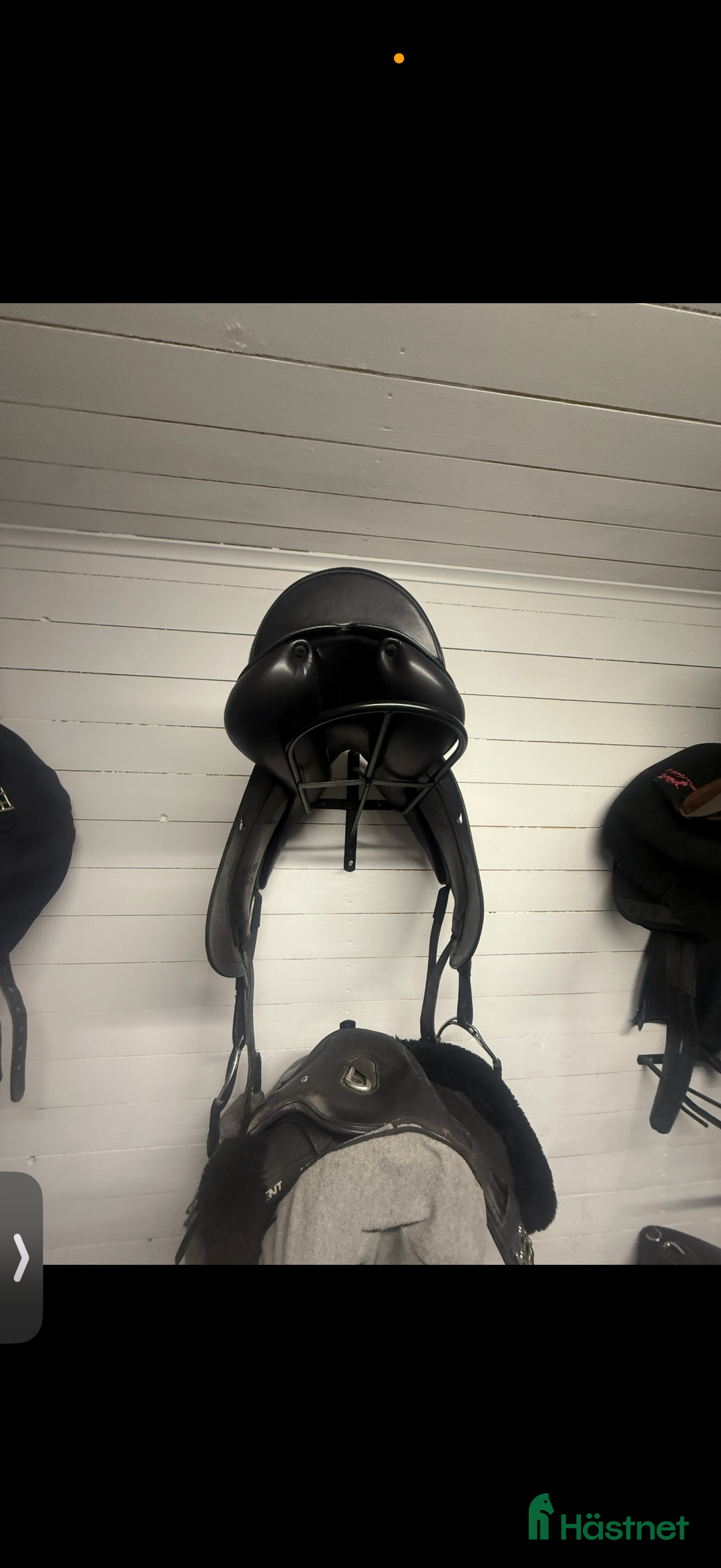 Sadlar hästutrustning till salu: Equipe Emporio special i Kil - Annons 5