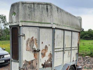 Hästtransporter fordon & transport till salu: Kylingetransport -88 i Ullared - Annons 2