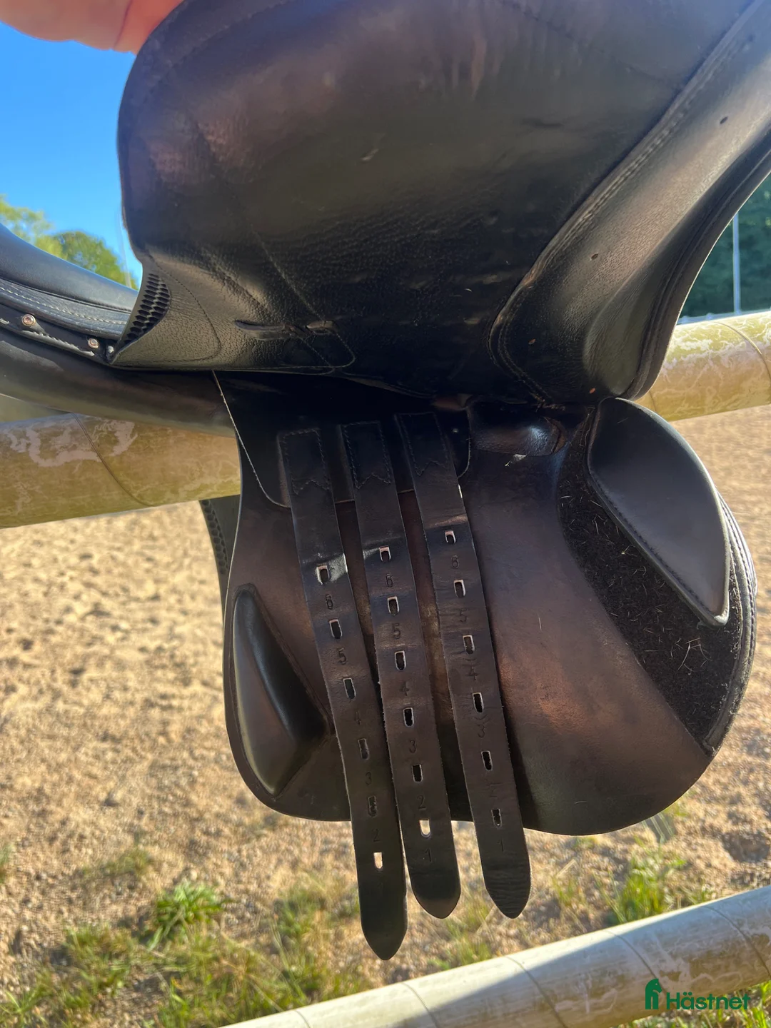 Sadlar hästutrustning till salu: Equiline Elite 16” - Annons 5
