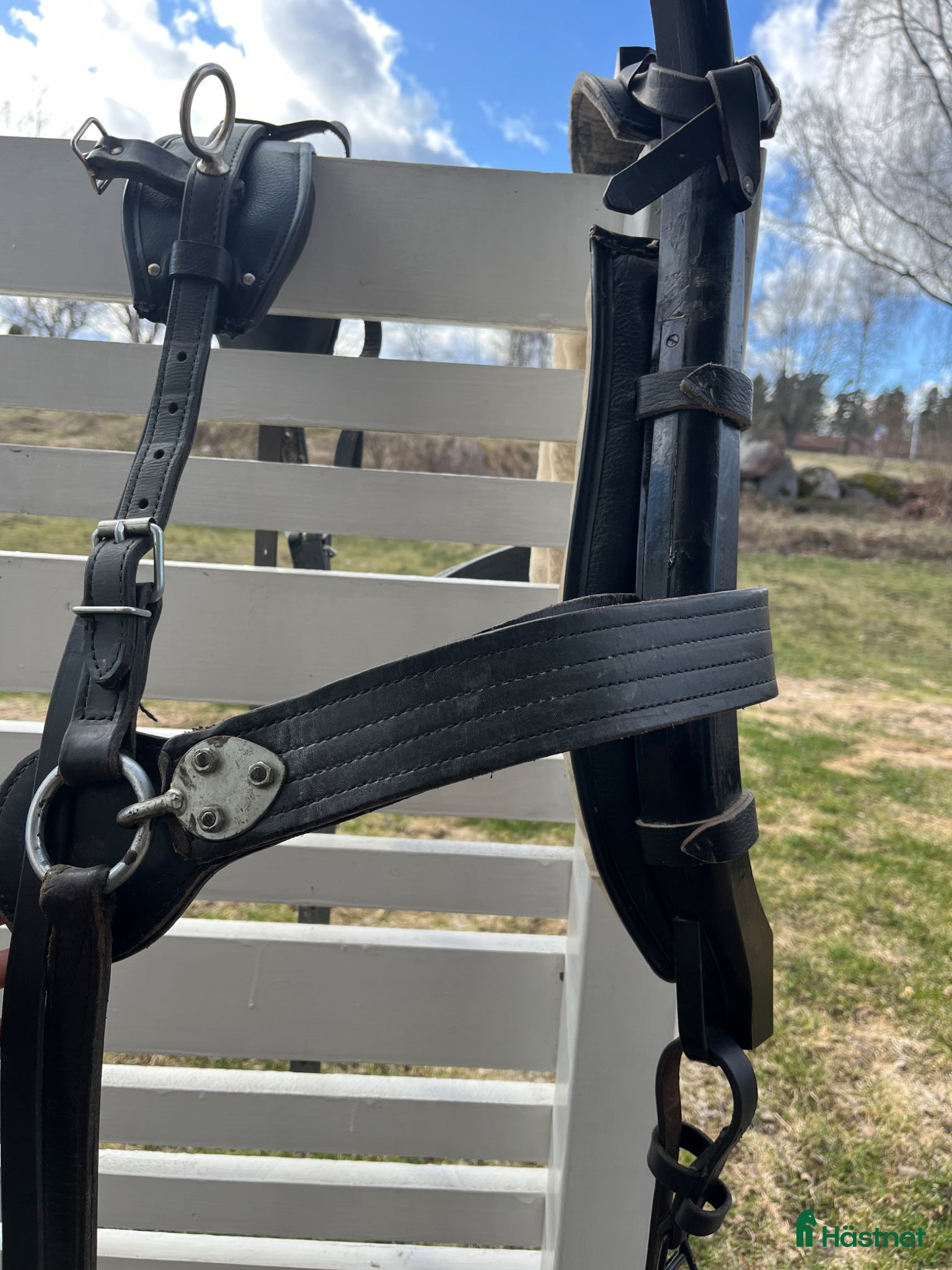 Körselar körning till salu: Loksele a/b-ponny - Annons 1