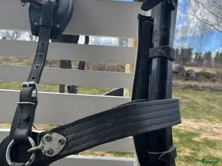 Körselar körning till salu: Loksele a/b-ponny - Annons 1