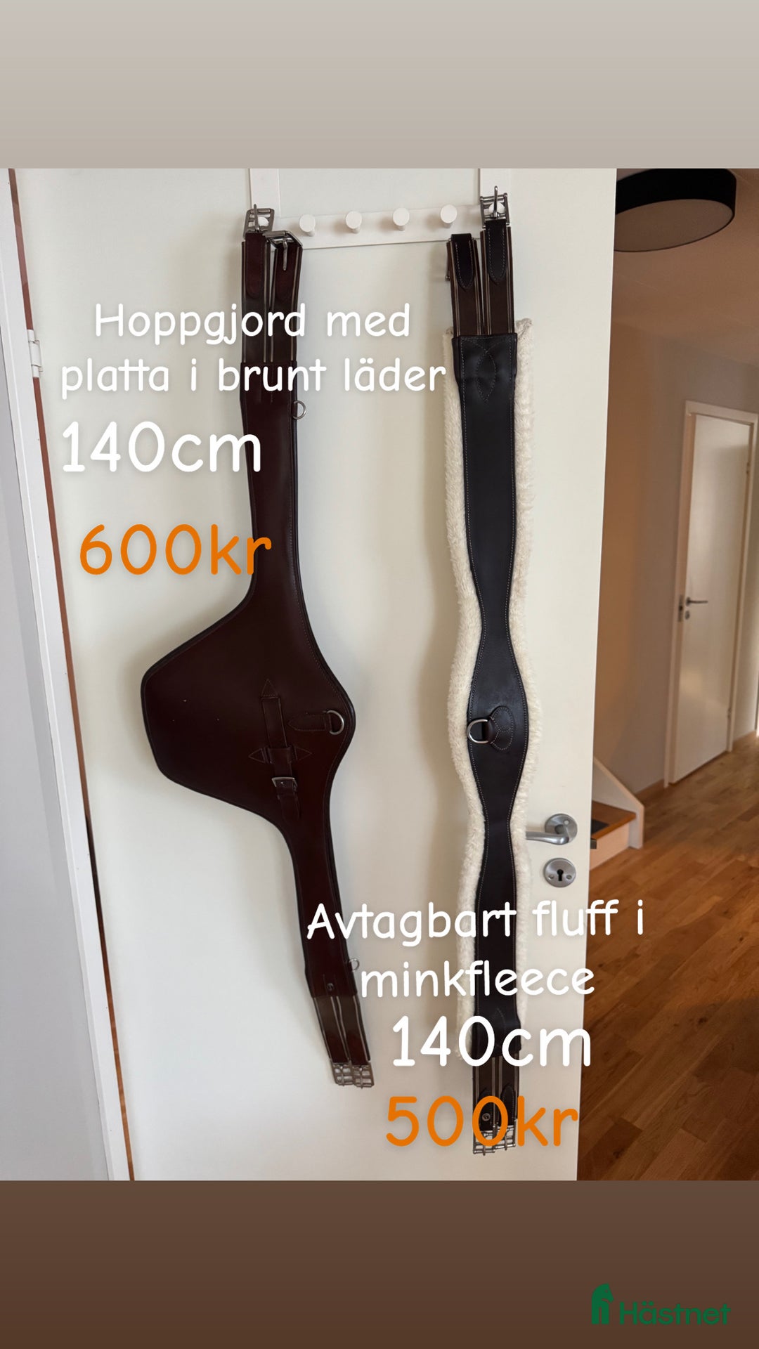 Övrig Hästutrustning hästutrustning till salu:  Samshield  Pikeur Fager Ariat Uhip MayaDelores i Hjälteby - Annons 12