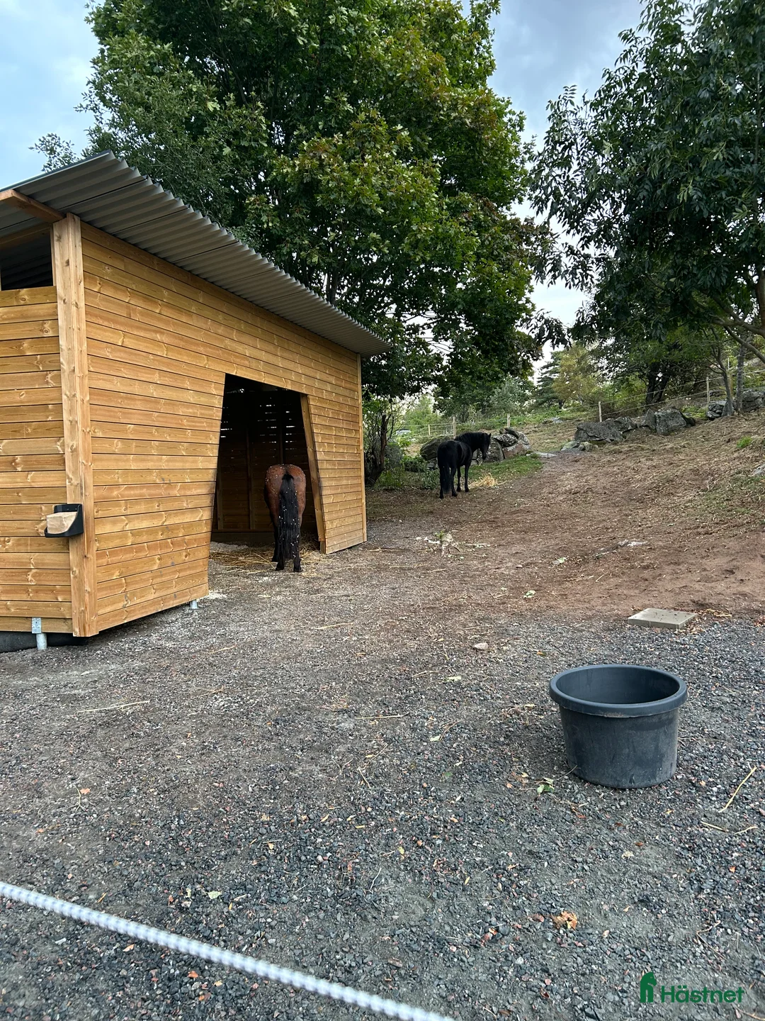  stallplats finnes: Stallplats i Onsala  i Onsala - Annons 3