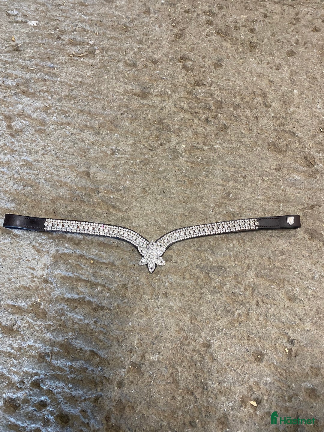 Träns hästutrustning till salu: Pandband i Sorunda - Annons 1