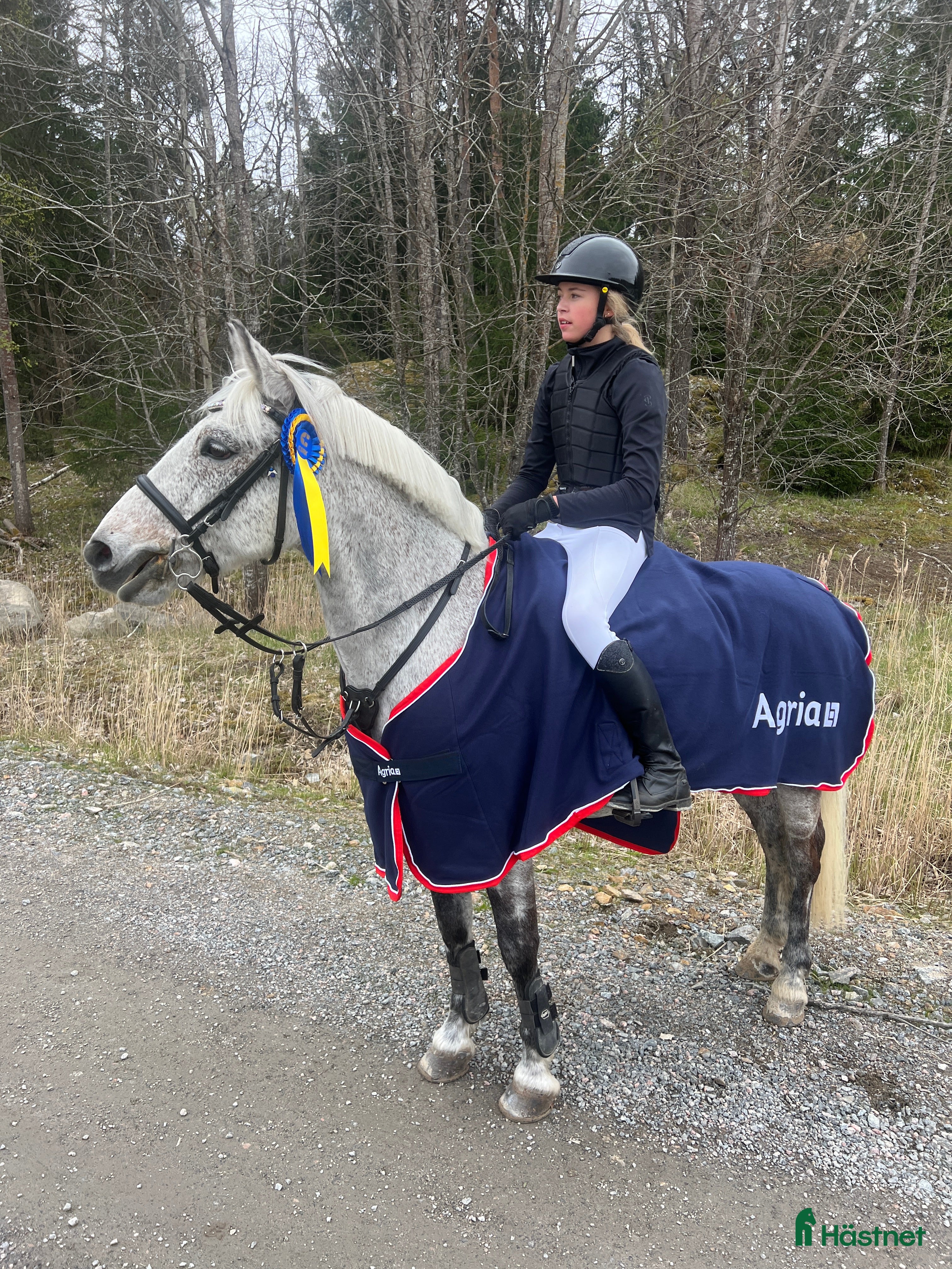  hästar 🌟 Rosettplockande läromästare – Maxad C-ponny  i Huddinge - Annons 4