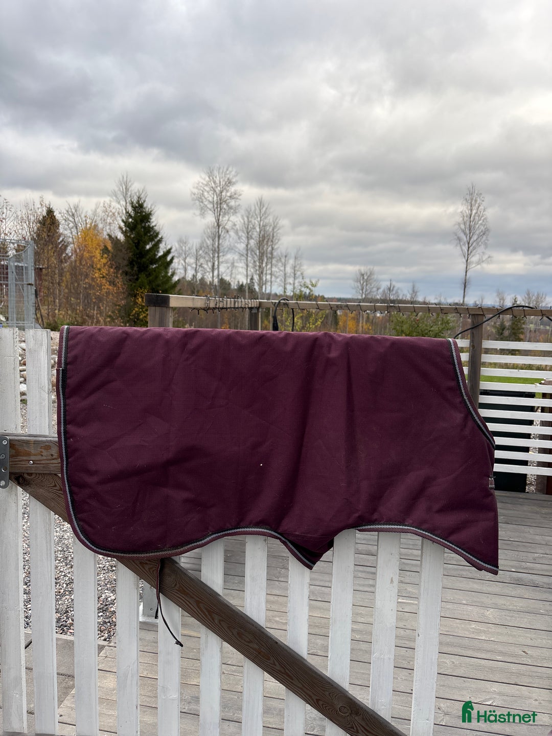 Täcken hästutrustning till salu: Kalvtäcke i Sundsvall - Annons 2