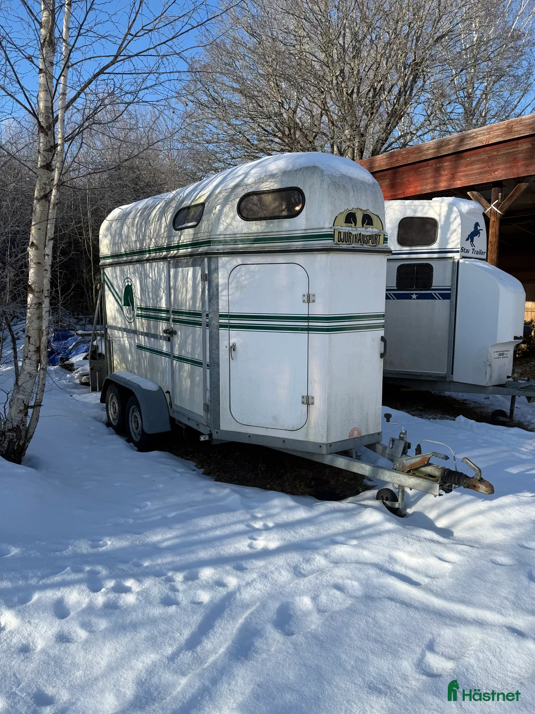 Hästtransporter  fordon & transport till salu: Boj Bravo i Östervåla - Annons 2