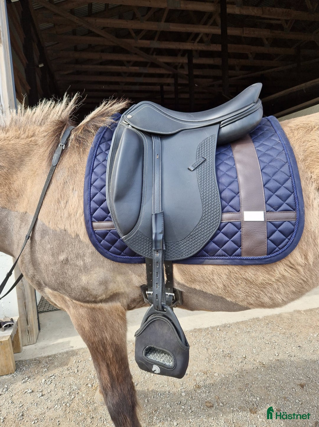 Sadlar hästutrustning till salu: Ergo trude basic  i Gällö - Annons 1