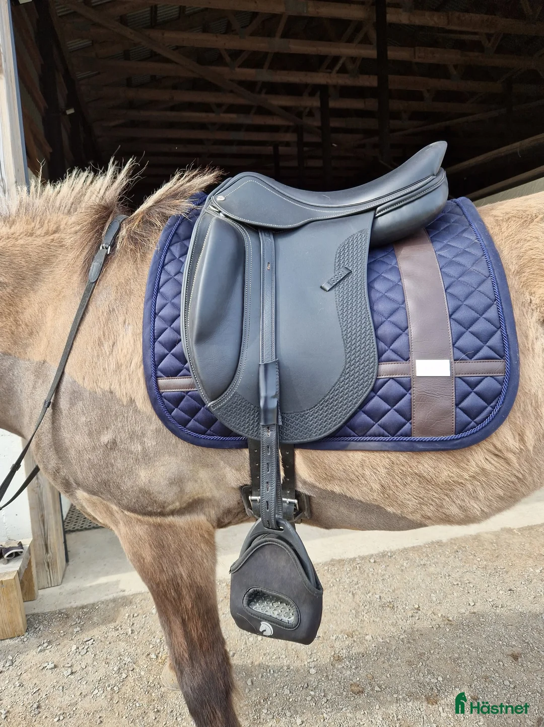 Sadlar hästutrustning till salu: Ergo trude basic  i Gällö - Annons 1