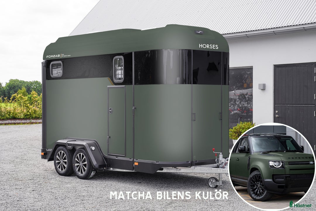 Hästtransporter  fordon & transport till salu: Forzab EQ3 med stor sadelkammare i Klippan - Annons 10