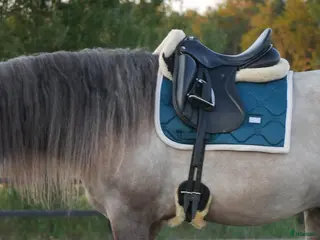 Schabrak & Vojlockar hästutrustning Schabrak + 4 benlindor - Annons 6