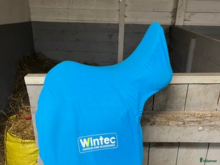 Sadlar hästutrustning till salu: Wintec dressyr syntetsadel i Landsbro - Annons 19