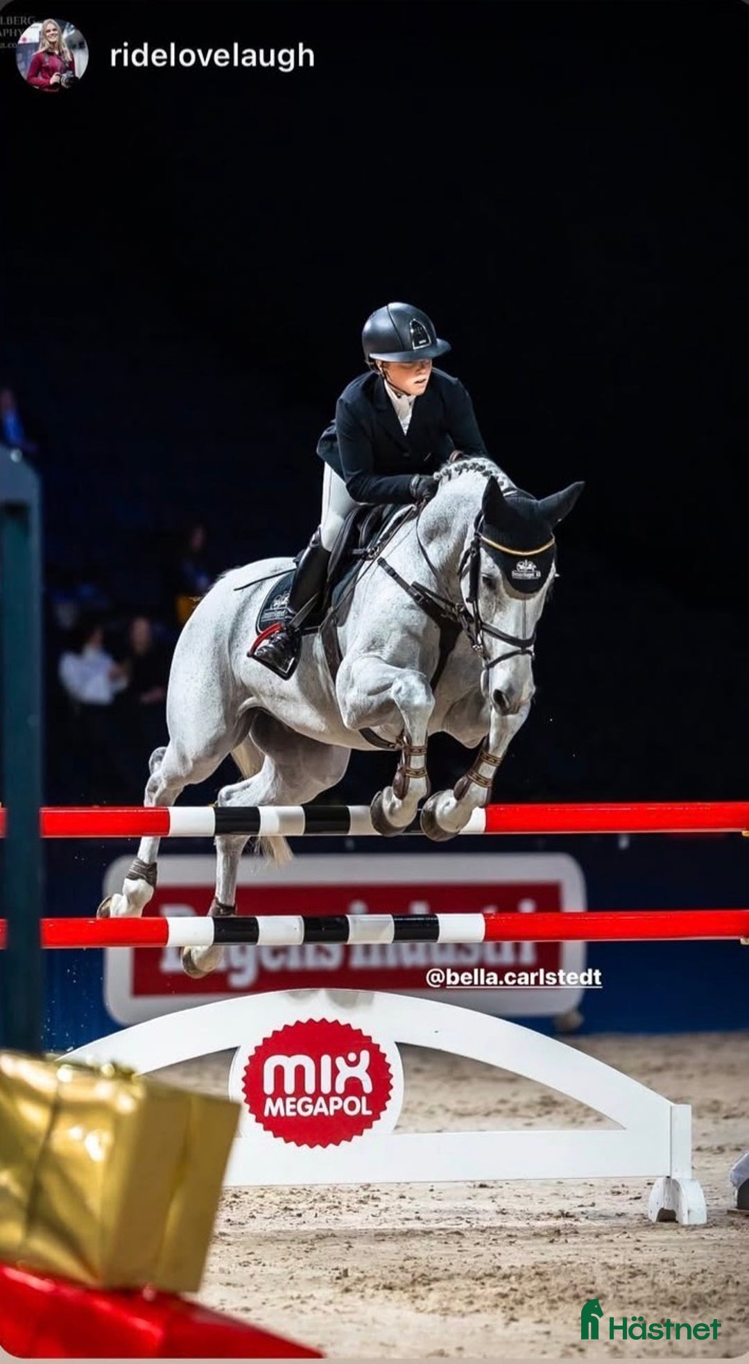 Hoppning hästar till salu: Bästa Jalapeno! i Kimstad - Annons 3