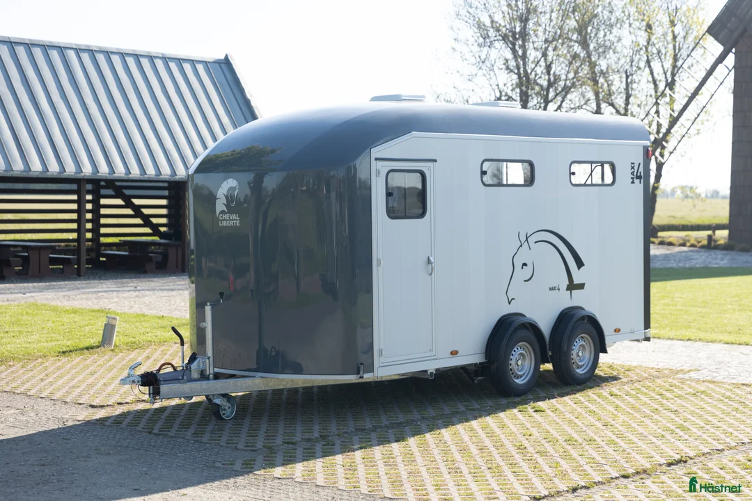 Hästtransporter  fordon & transport till salu: Cheval Liberté Maxi 4 Diagonallastad - Annons 2