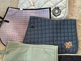 Schabrak & Vojlockar hästutrustning till salu: Paket med schabrak i storlek Full i Söderköping - Annons 18