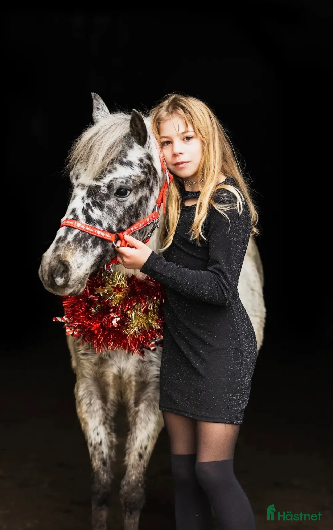 Hoppning hästar till salu: Jumping pony with special color i Ystad - Annons 8
