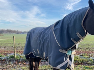 Täcken hästutrustning till salu: Amigo 100g i Helsingborg - Annons 20
