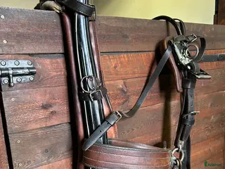 Körselar körning till salu: Bågsele loksele för de stora tjejerna och killarna - Annons 10