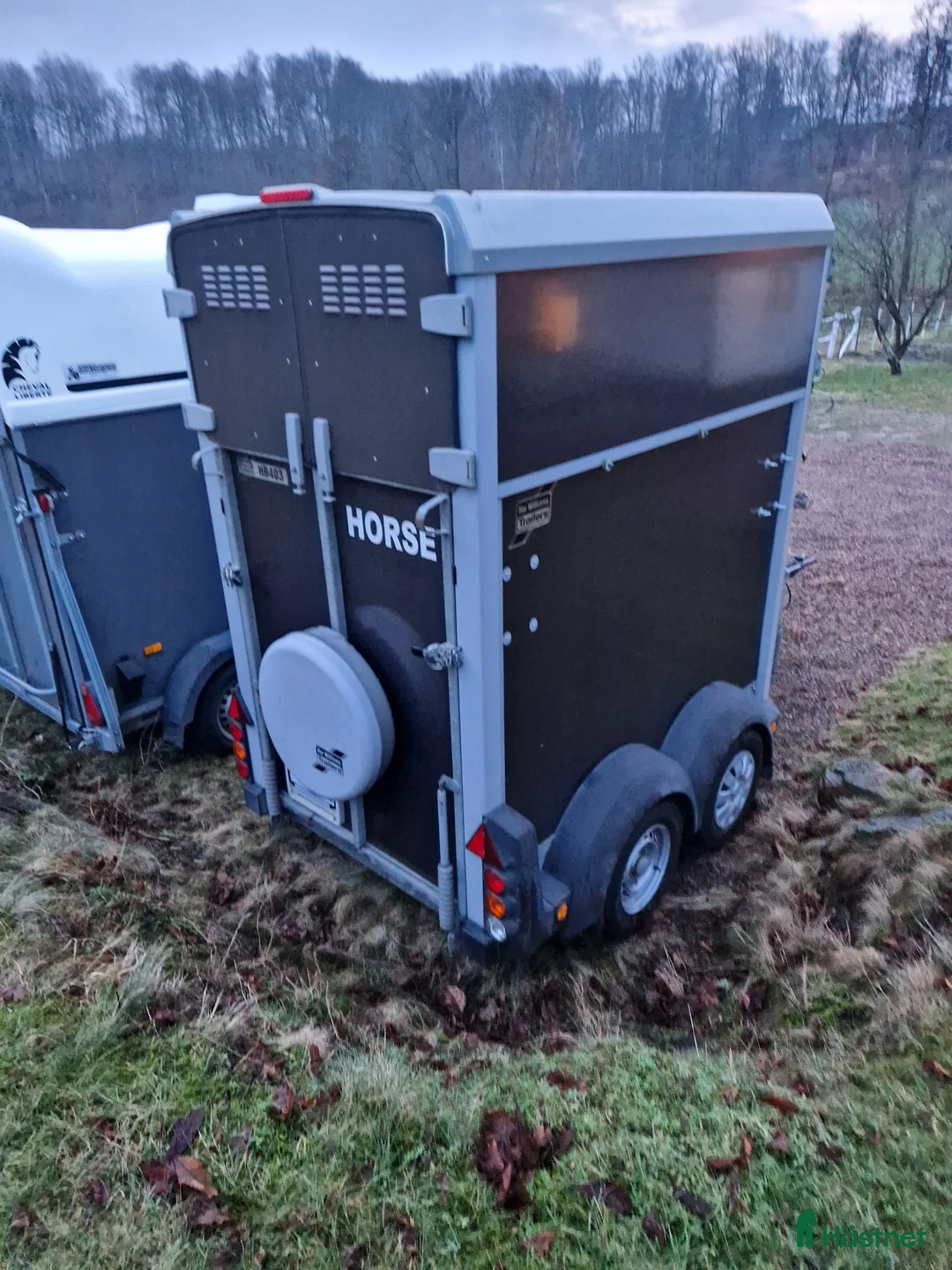 Hästtransporter  fordon & transport till salu: Ifor Williams HB403 enhästarsläp - Annons 4