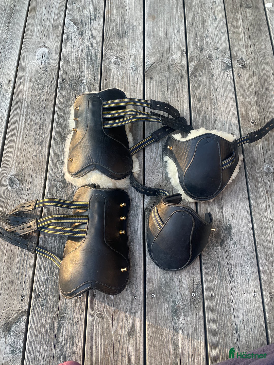 Benskydd hästutrustning till salu: Benskydd med avtagbara fårskinn i Åkersberga - Annons 1