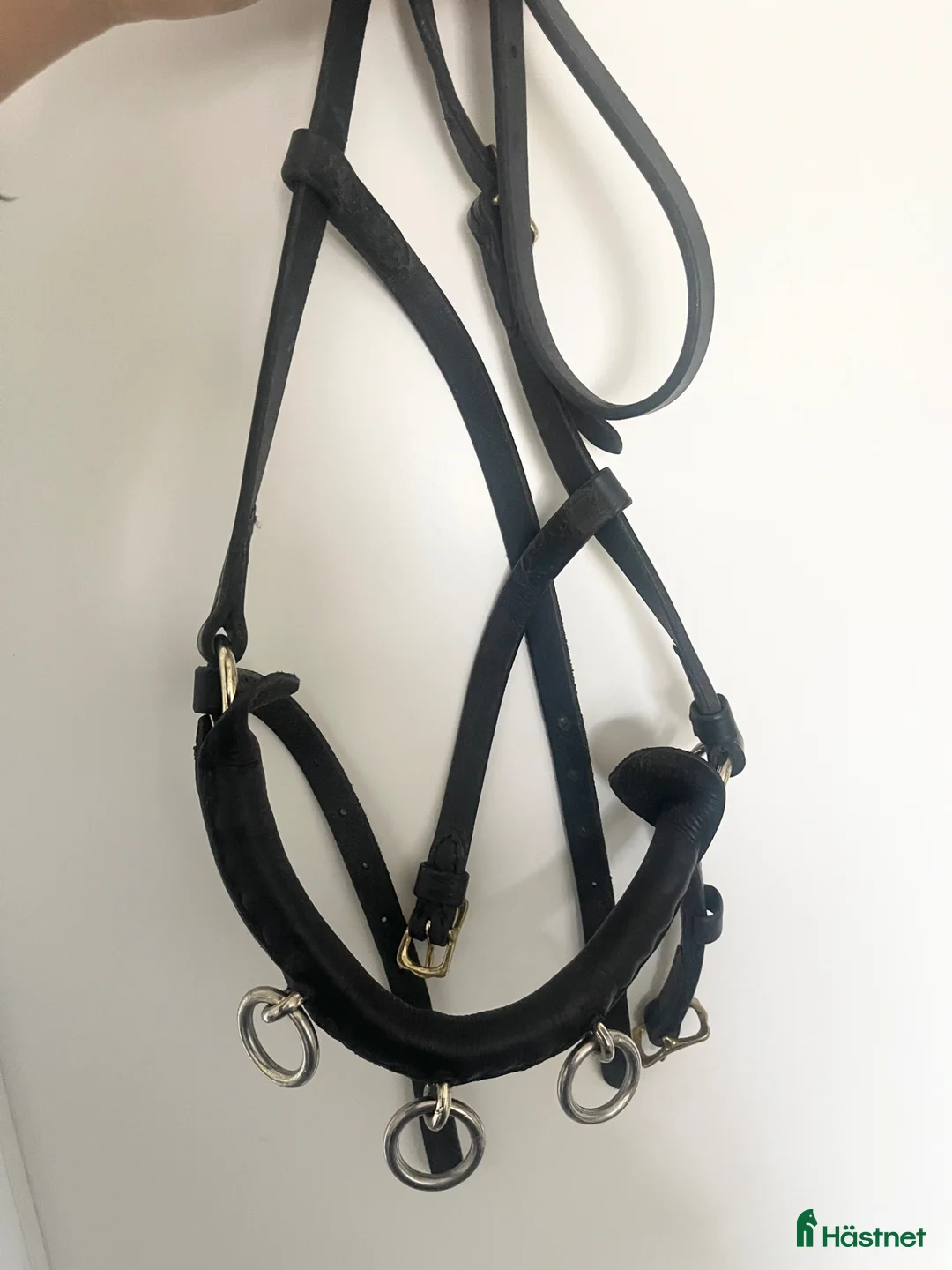 Övrig Hästutrustning hästutrustning till salu: Svart kapson i bra skick. - Annons 1