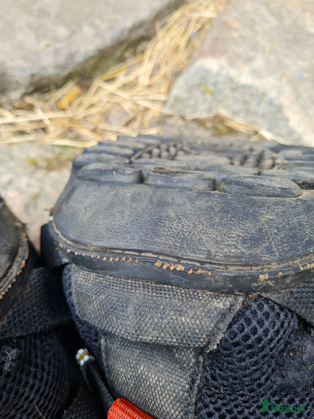 Övrig Hästutrustning hästutrustning till salu: All terrain ultra, strl 14 slim - Annons 4