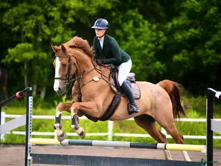 hästservice Hjälp finnes! i Sigtuna - Annons 3