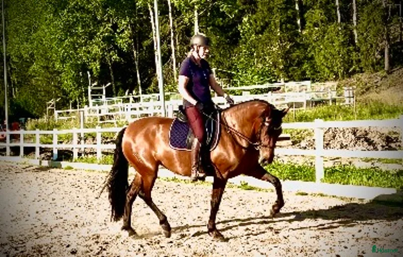 Galleribild {{count}}