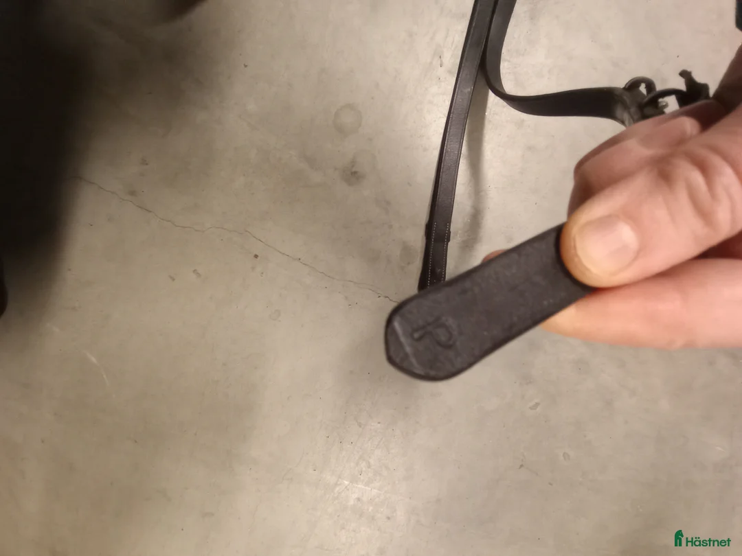 Övrig Hästutrustning hästutrustning till salu: Tyglar pony Dyon - Annons 3