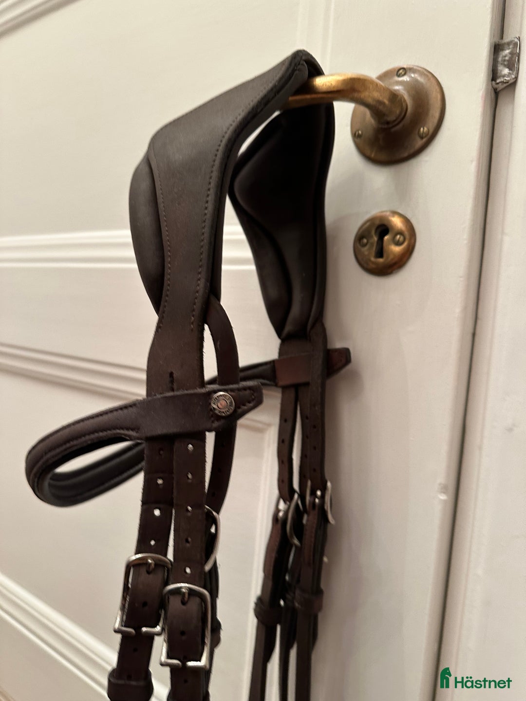 Träns hästutrustning till salu: Antares - precision Y-nosgrimma i Stockholm - Annons 3