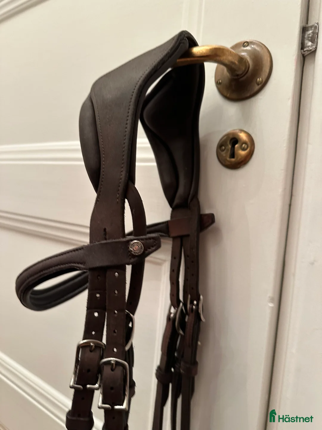 Träns hästutrustning till salu: Antares - precision Y-nosgrimma i Stockholm - Annons 3