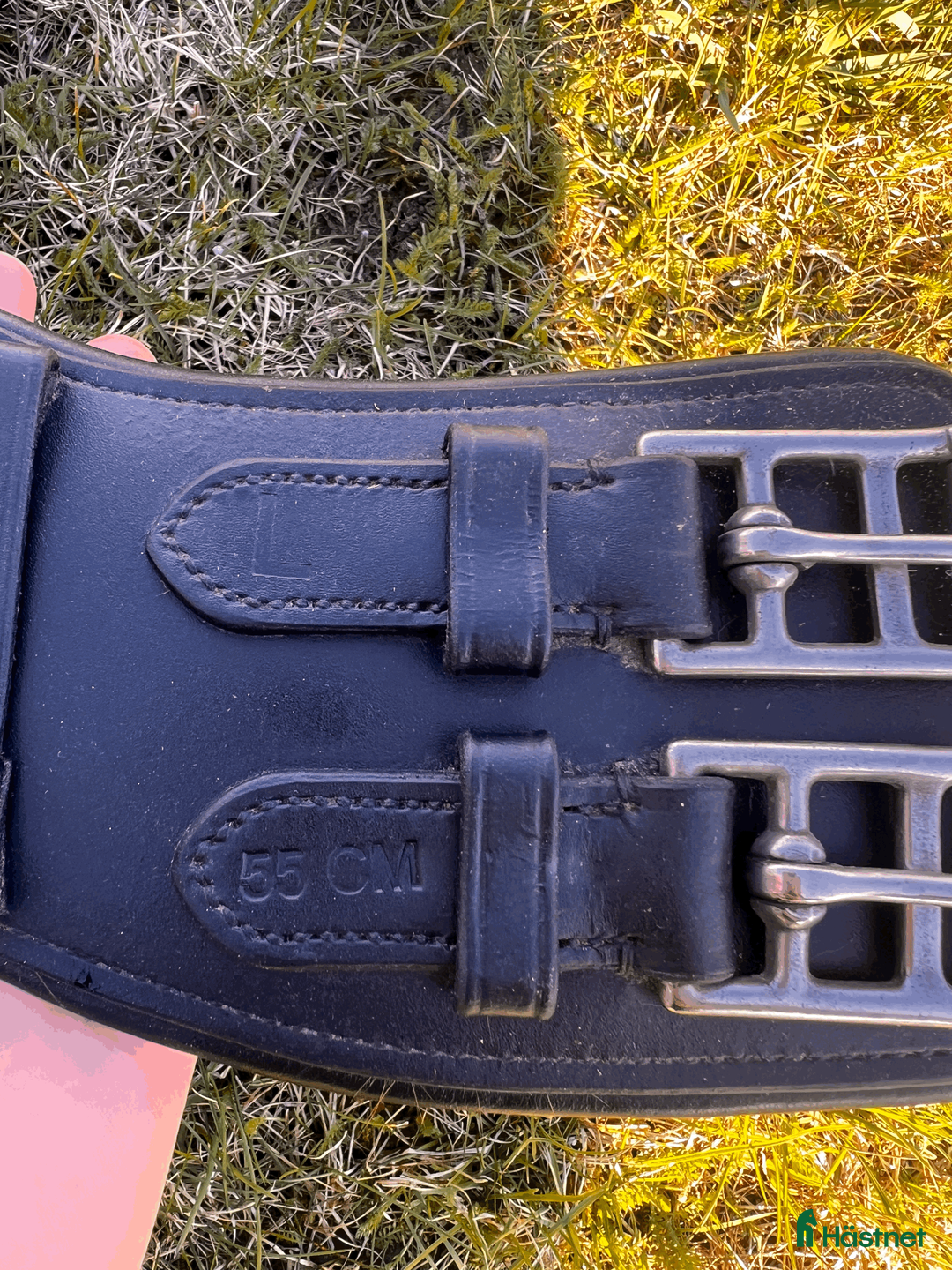 Sadeltillbehör hästutrustning till salu: Passier Dressyrgjord - Annons 2