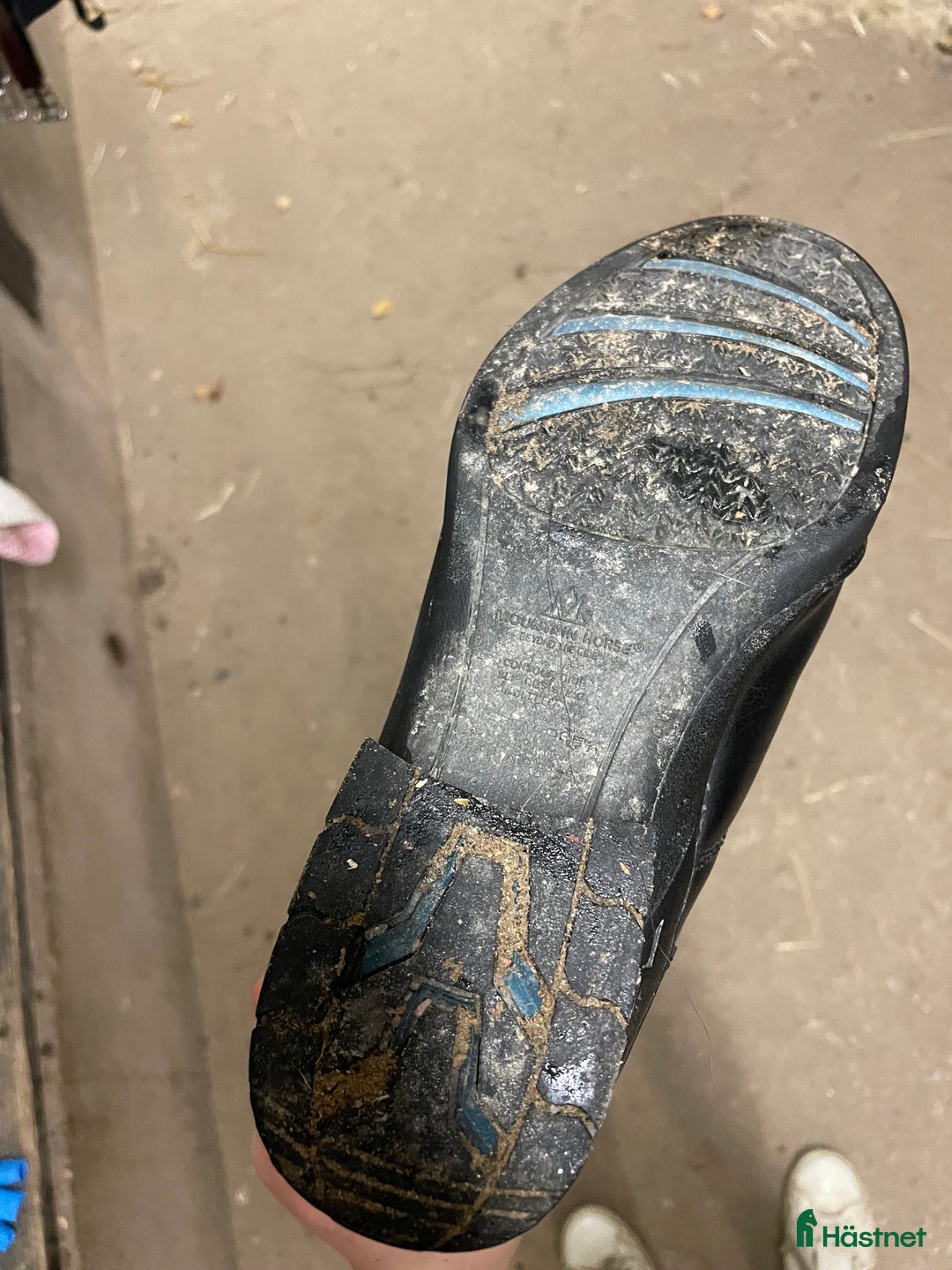 Ridstövlar ryttarutrustning till salu: Ridstövlar i Katrineholm - Annons 11