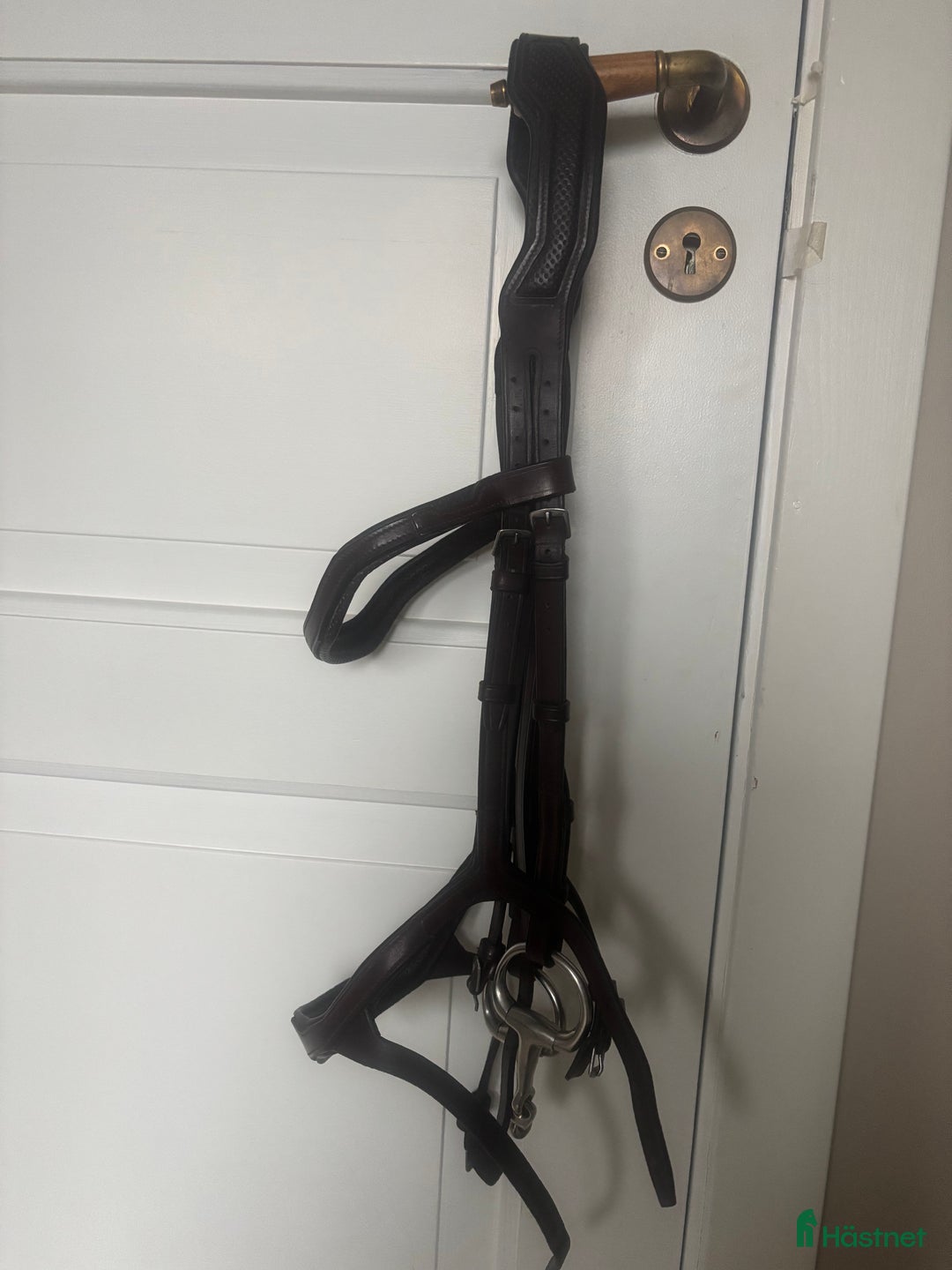 Träns hästutrustning till salu: Träns strl cob i Norrala - Annons 3