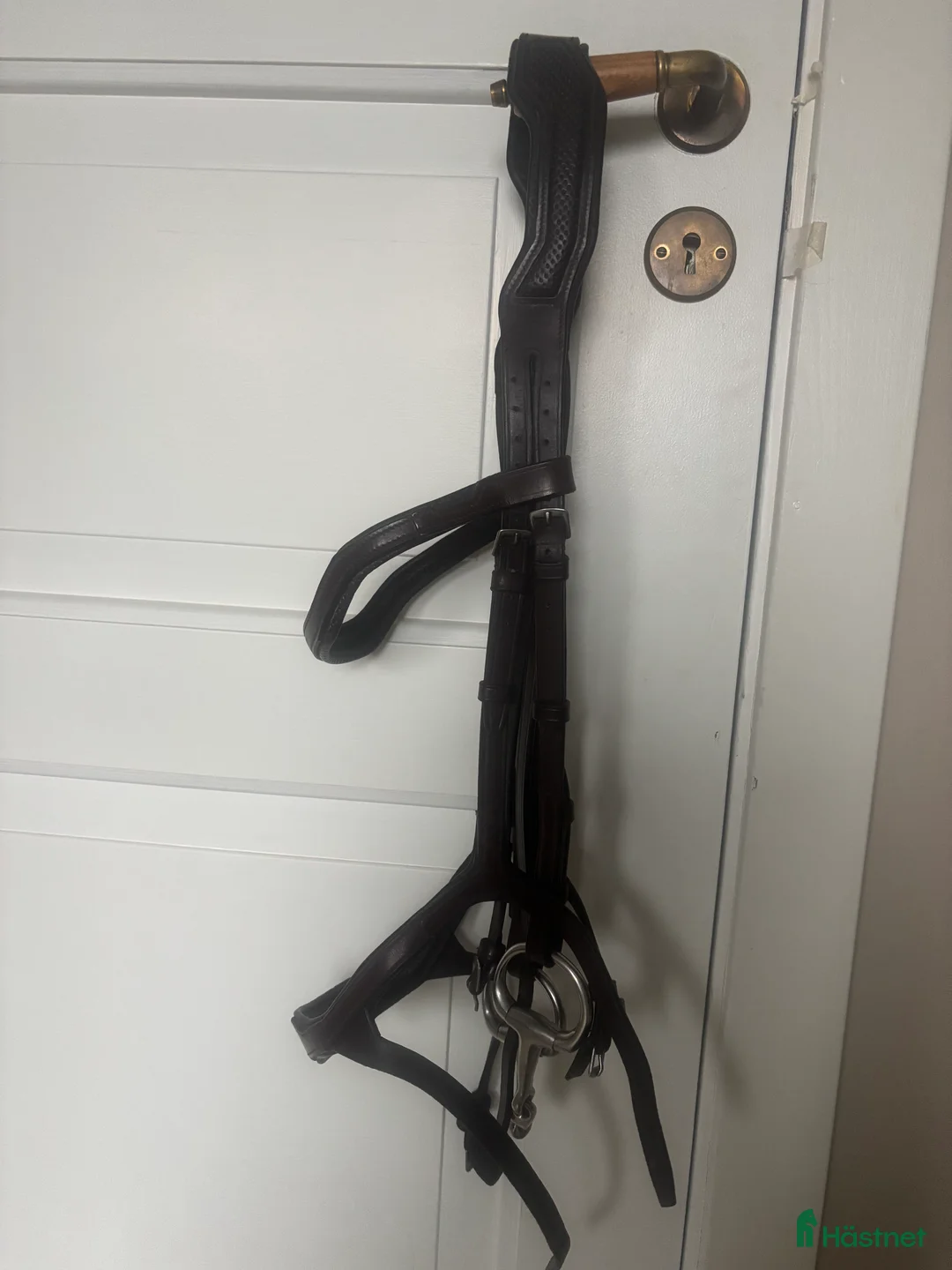 Träns hästutrustning till salu: Träns strl cob i Norrala - Annons 3