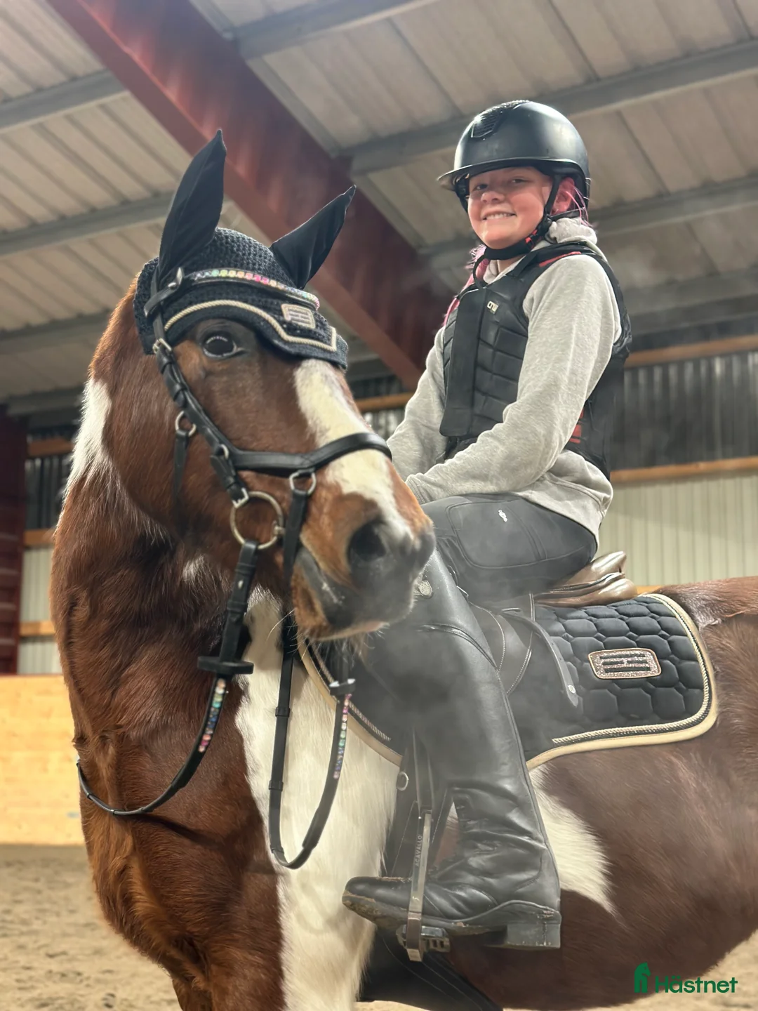 Allround hästar till salu: Vackert sto med otrolig utstrålning ✨ i Skebobruk - Annons 2