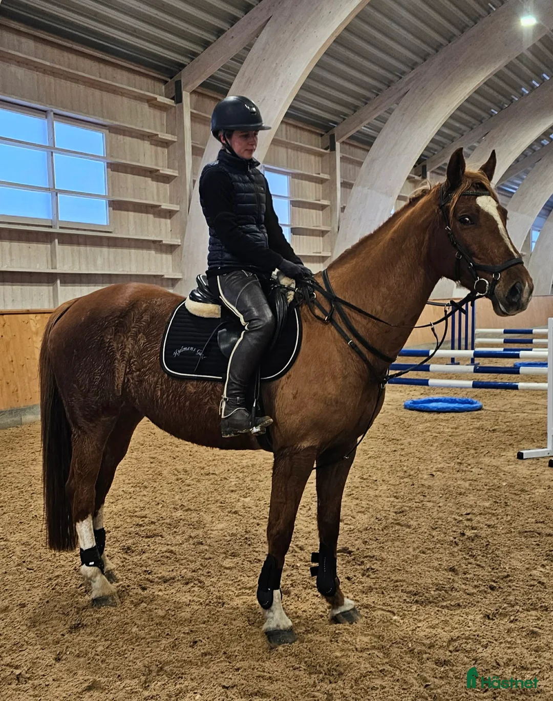 Allround hästar till salu: Underbart sto med lite humör. i Stora Skedvi - Annons 2