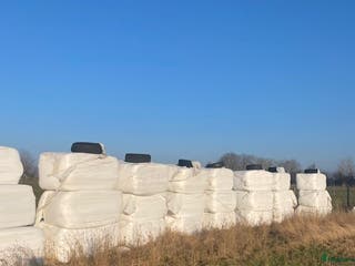 Övrig utrustning övrig utrustning till salu: hösilage 250 kg bal i Billeberga - Annons 17